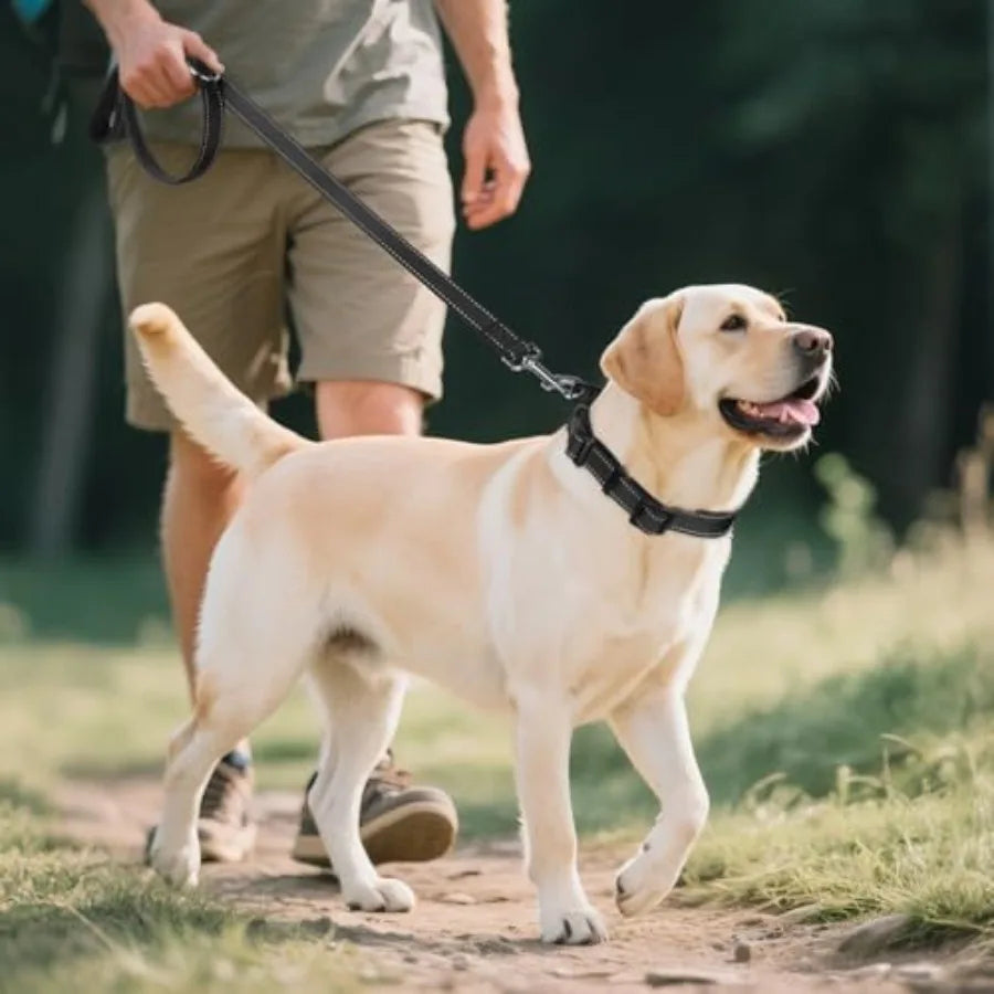 Reflective Dog Collar With Soft Neoprene Padding And D Ring