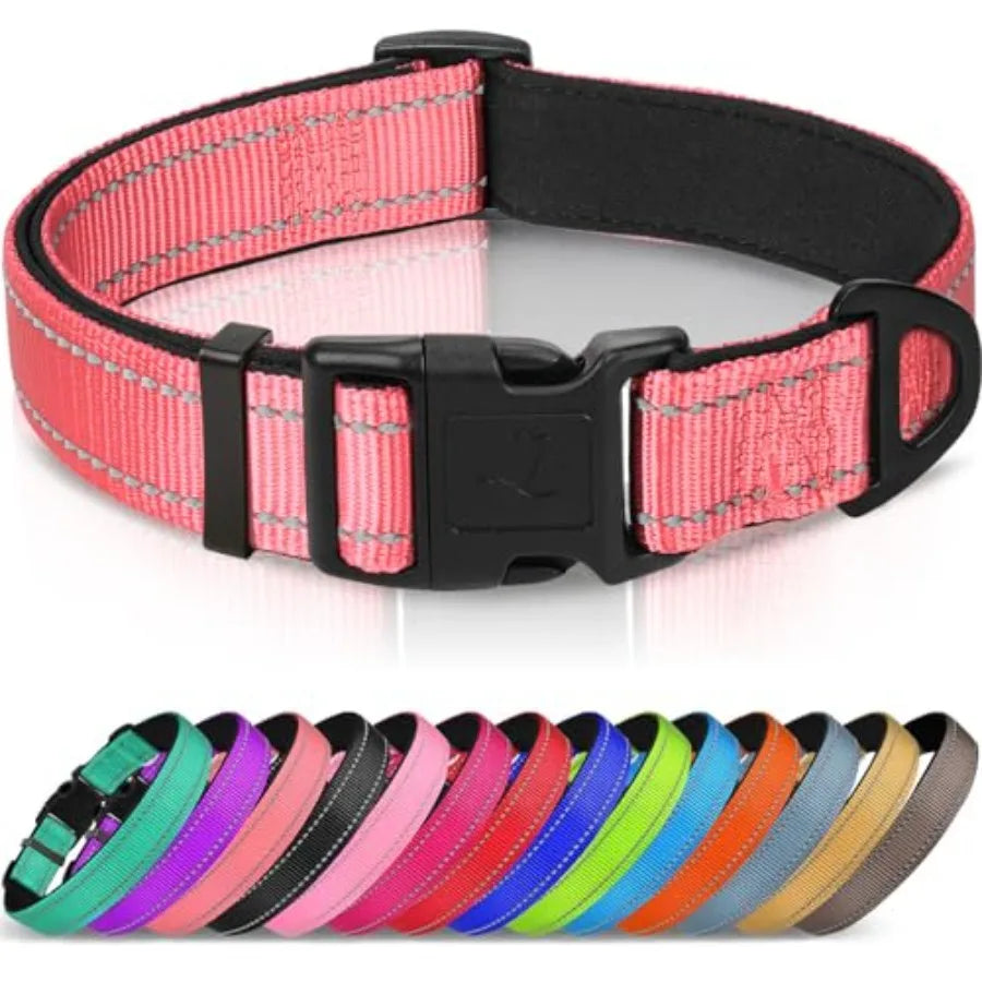 Reflective Dog Collar With Soft Neoprene Padding And D Ring