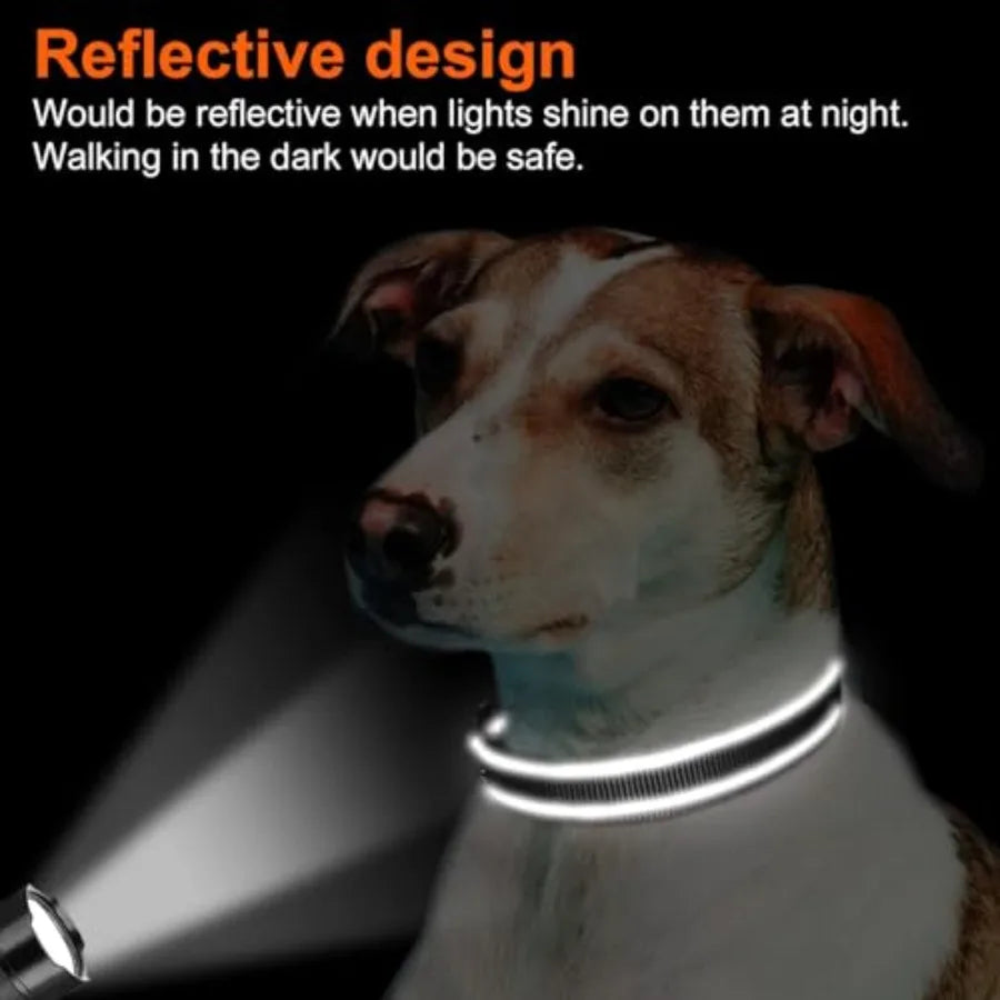 Reflective Dog Collar With Soft Neoprene Padding And D Ring
