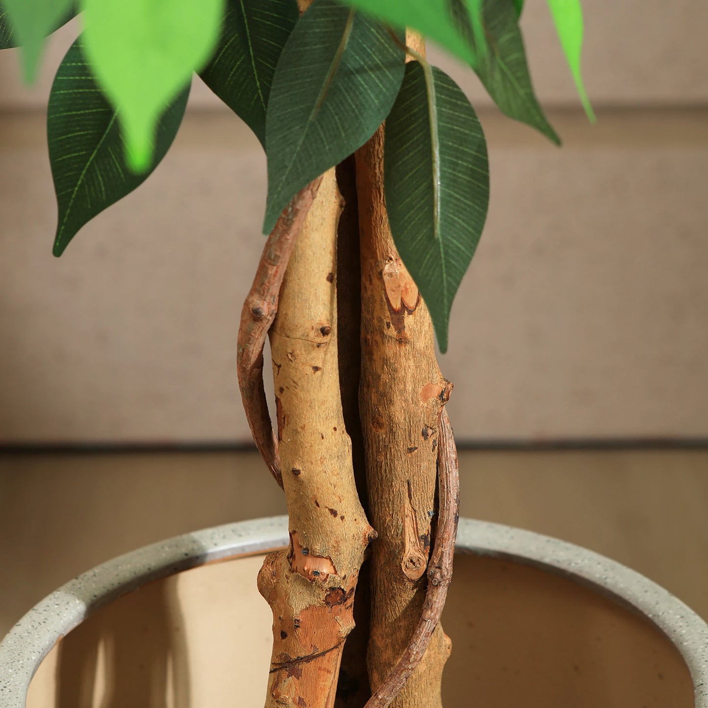 KAZEILA Artificial Ficus Tree With Natural Curved Trunk For Decor