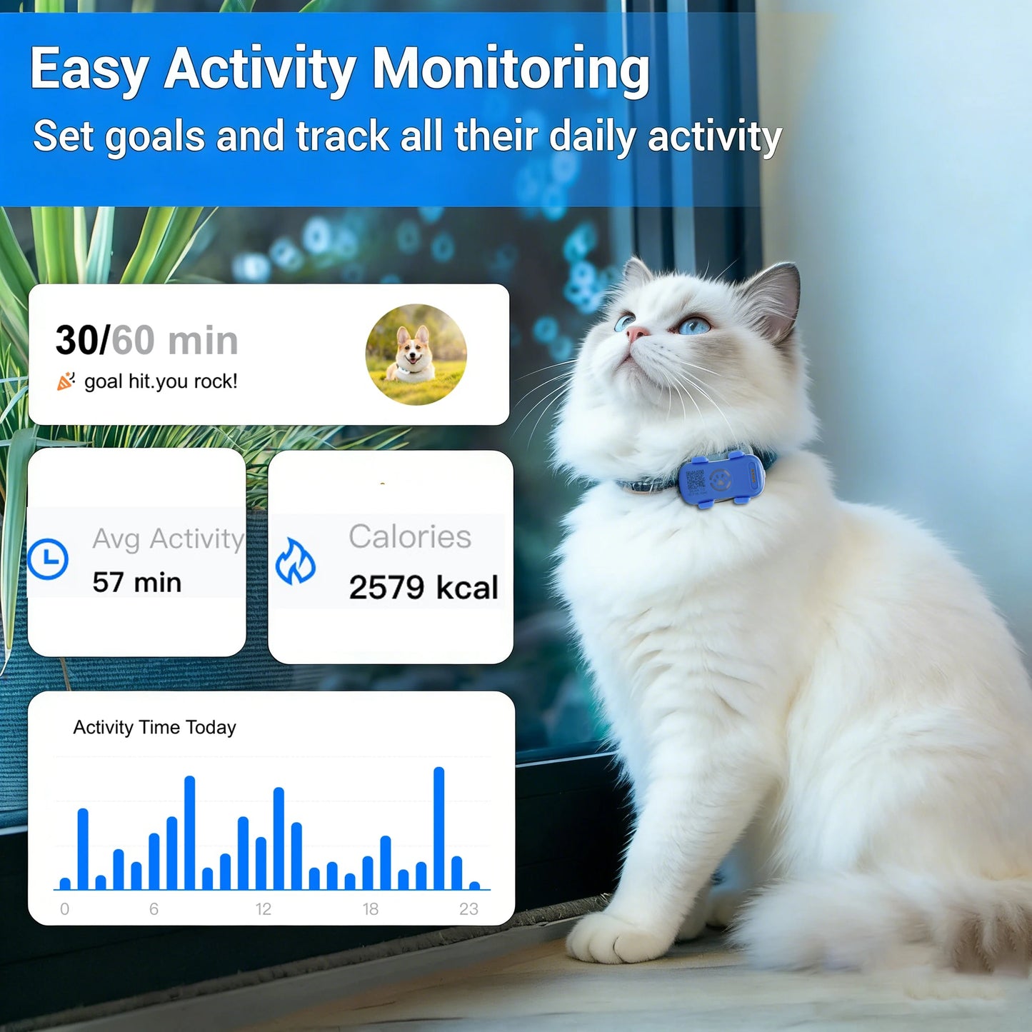 WANWAYTECH GPS Pet Tracker Real Time Location With Unlimited Tracking