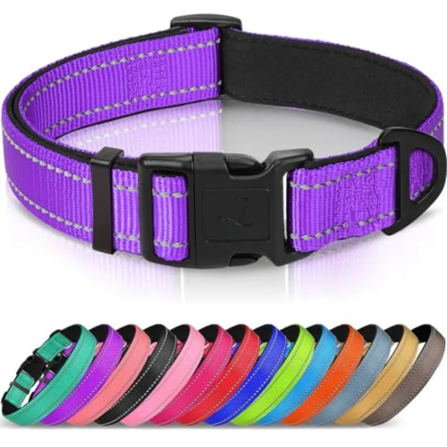 Reflective Dog Collar With Soft Neoprene Padding And D Ring
